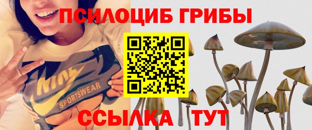 Еманжелинск  Псилоцибиновые грибы GOLDEN TEACHER  Вход с VPN 